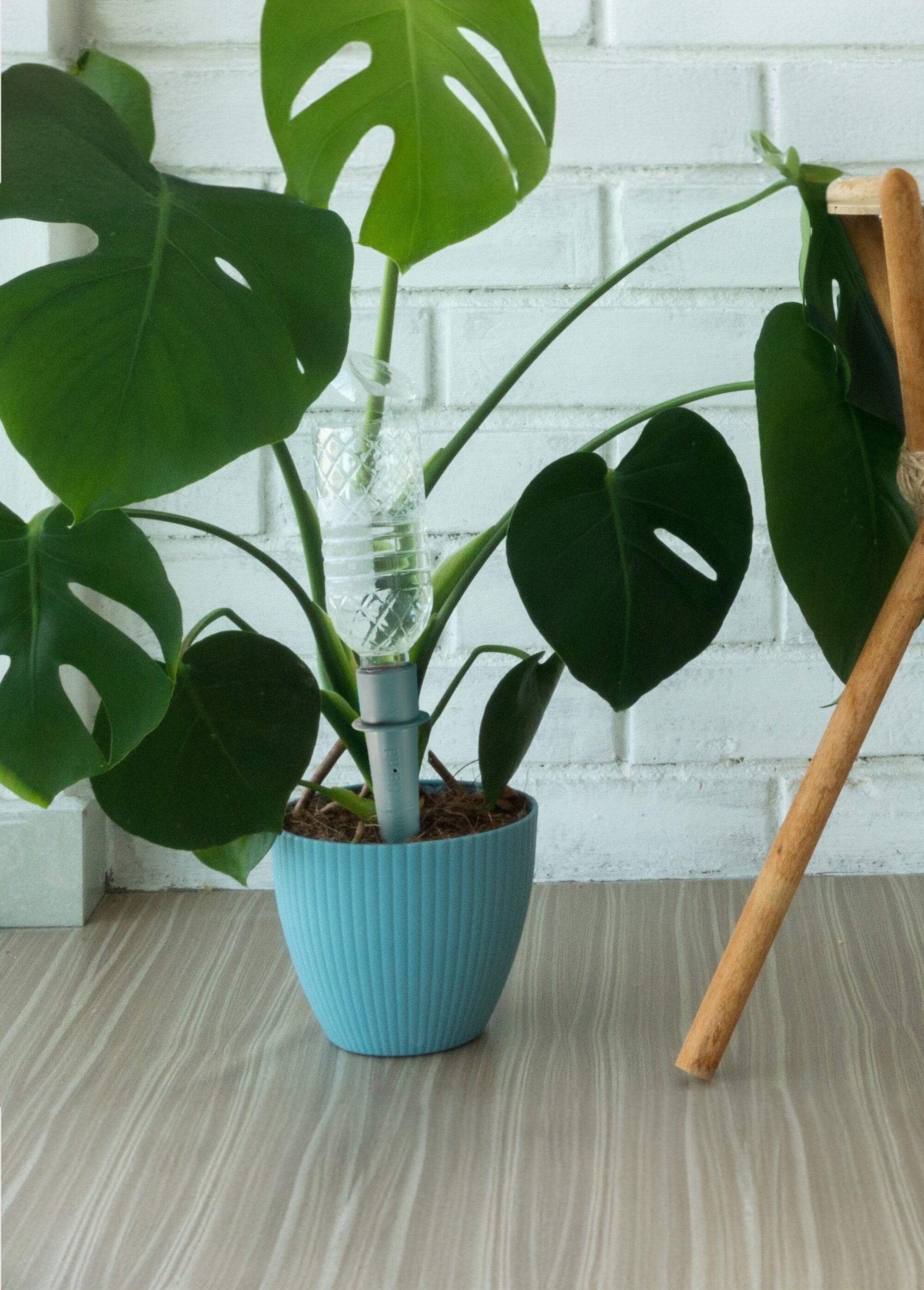 Lote_de_12_conos_de_riego_para_plantas_Verde_FA1_slim