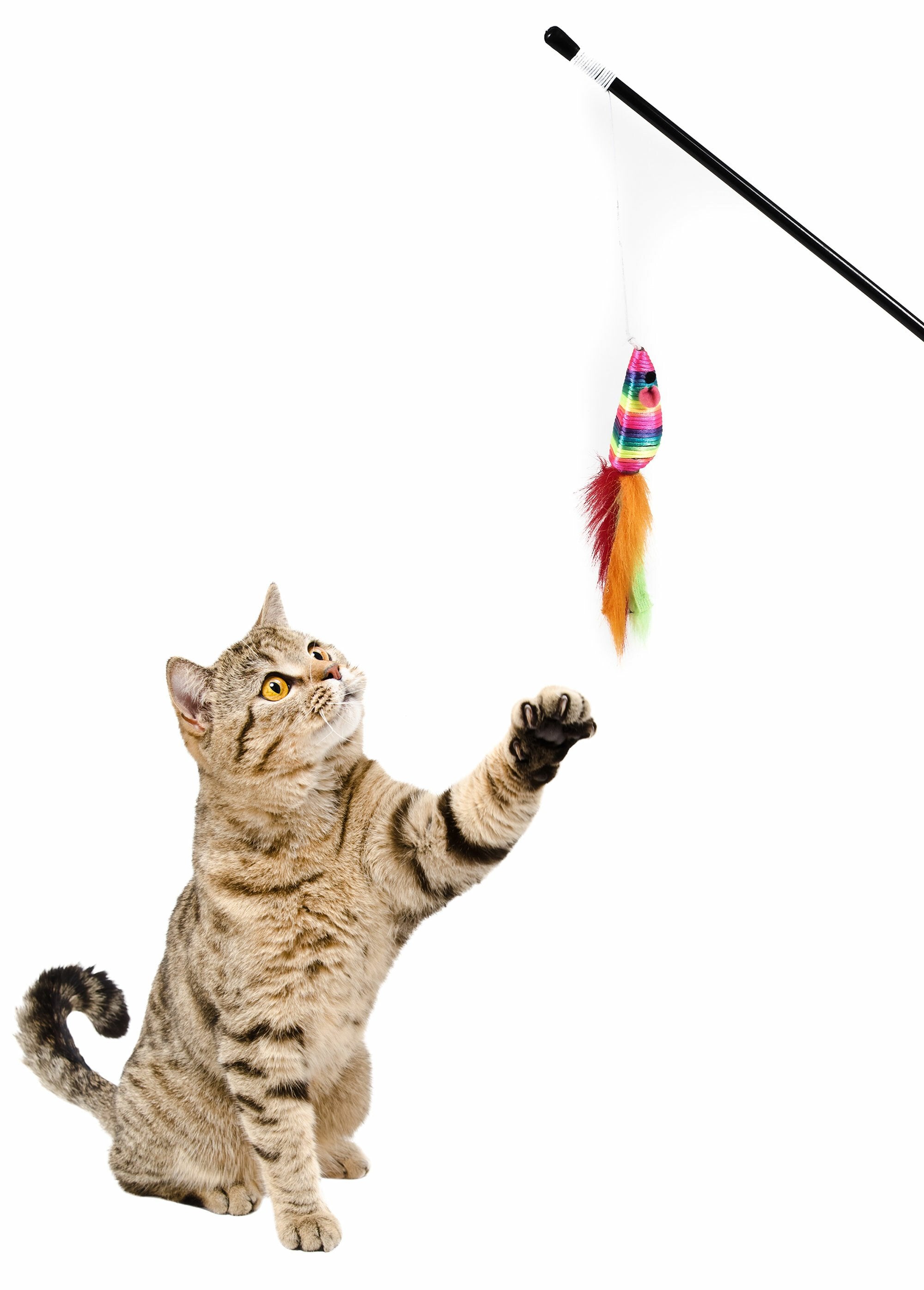 Juguete_para_gatos_con_ratón_de_caña_multicolor_naranja_DE2_slim