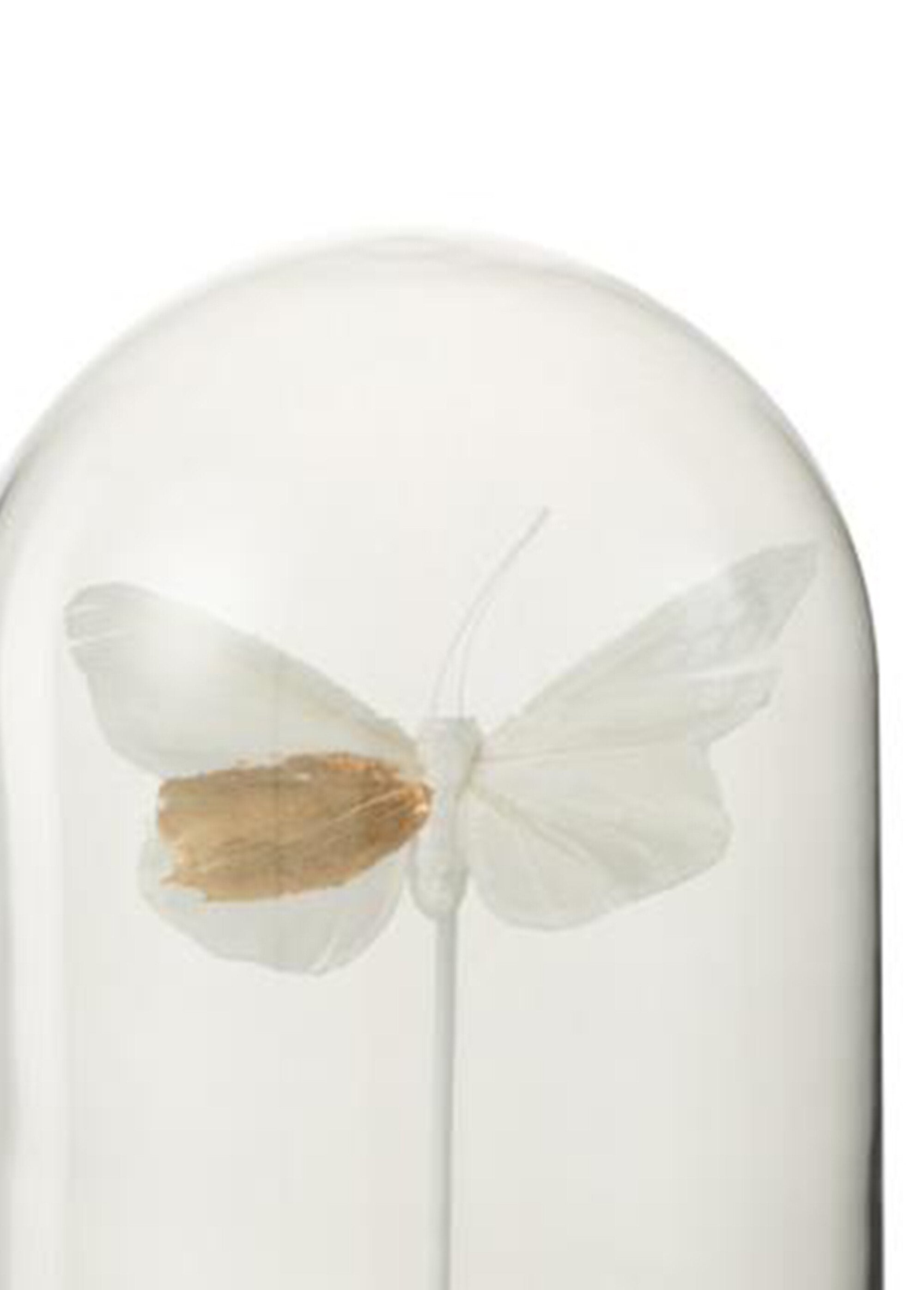 Campana_mariposa_de_cristal_decorativa_Blanco,_Blanca_DE1_slim